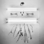 cover_Absent-In-Body-TASB5