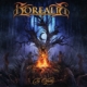 Borealis cover power metal