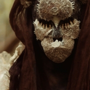 news_2025-09-03_Equilibrium single Bloodwood