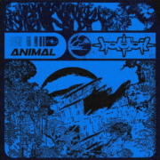 cover_Holosoil_Animal (1)
