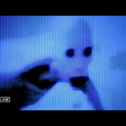 news_2026-09-10_CONSVMER single Willenlos